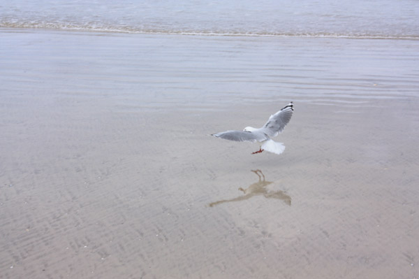 Image 49